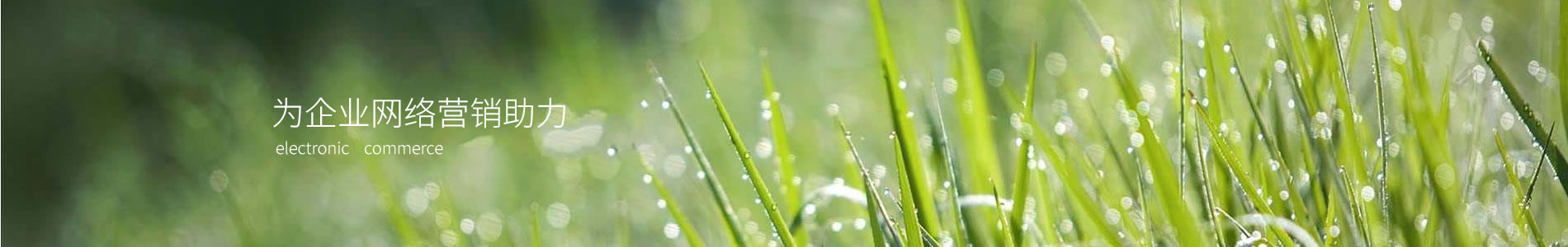 ݸоܽƼ޹˾